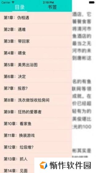 欣悦小说